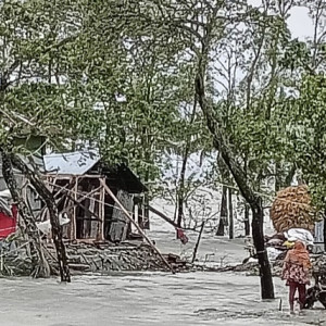 মনপুরায় টানা বর্ষণ ও জোয়ারের পানিতে নিম্নাঞ্চল প্লাবিত