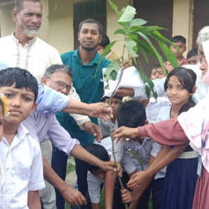মনপুরায় ৪৩ প্রাথমিক বিদ্যালয়ে বৃক্ষরোপণ কর্মসূচি উদ্বোধন