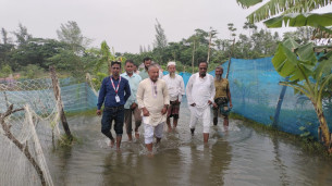 মনপুরায় বানভাসি মানুষের  মাঝে তীব্র খাবারের সংকট