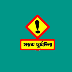 বোরহানউদ্দিনে নিয়ন্ত্রণ হারিয়ে নসিমন উল্টে চালক নিহত