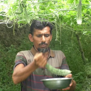 ভোলায় সর্জান পদ্ধতিতে বদলে যাচ্ছে কৃষির চিত্র