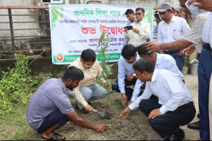 ভোলায় বৃক্ষরোপণ কর্মসূচির উদ্বোধন