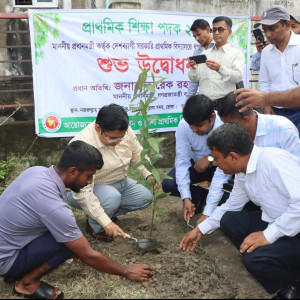 ভোলায় বৃক্ষরোপণ কর্মসূচির উদ্বোধন