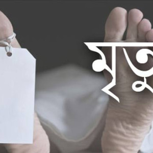 চরফ্যাশনে পুকুরে গোসল করতে নেমে স্কুলছাত্রের মৃত্যু