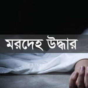মনপুরায় পুকুরের পানিতে ভেসে উঠল ১৮ মাসের শিশুর মরদেহ