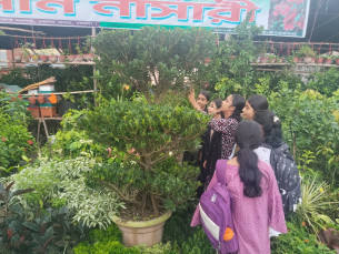 ভোলায় দেড় লাখ টাকার ২৫ বছরের বনসাইয়ে দর্শনার্থীদের ভিড়