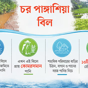 ভোলায় আমন ধান চাষ নিয়ে শঙ্কা