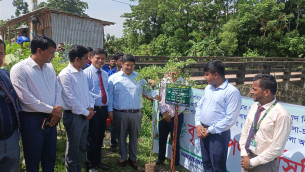 ভোলায় পরিবেশের ভারসাম্য রক্ষা ও সবুজ বনায়নের লক্ষ্যে বৃক্ষরোপণ কর্মসূচী পালিত