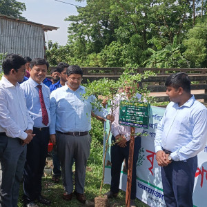 ভোলায় পরিবেশের ভারসাম্য রক্ষা ও সবুজ বনায়নের লক্ষ্যে বৃক্ষরোপণ কর্মসূচী পালিত