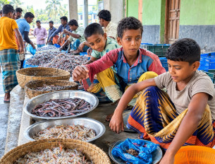 চরফ্যাশনে প্রাথমিকে ঝরে পড়ছে ৪২ ভাগ শিশু
