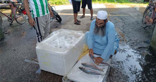 ভারতীয় ইলিশ আমদানি বন্ধ, বাতিল ১০৩ এনওসি