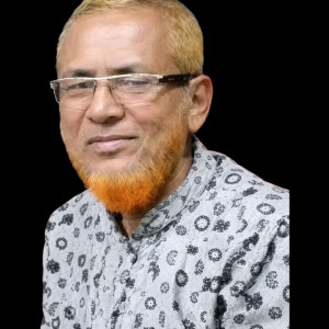 ভোলার বিশিষ্ট কাঠ ব্যবসায়ী আবুল কালাম আর নেই