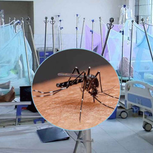 ডেঙ্গুতে আরও ৭ প্রাণহানি, সর্বোচ্চ আক্রান্তের রেকর্ড