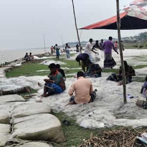 ২২ দিনের বিরতি শেষে মেঘনা-তেঁতুলিয়ায় ইলিশ শিকারে জেলেরা, প্রাণচাঞ্চল্য ফিরেছে মাছঘাটে